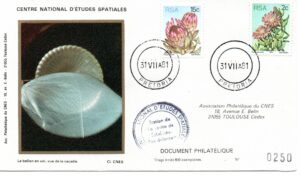 Prétoria (Afrique du Sud) - Campagne Ballons BPS 81 - CNES - 31 Juillet 1981 - C 24